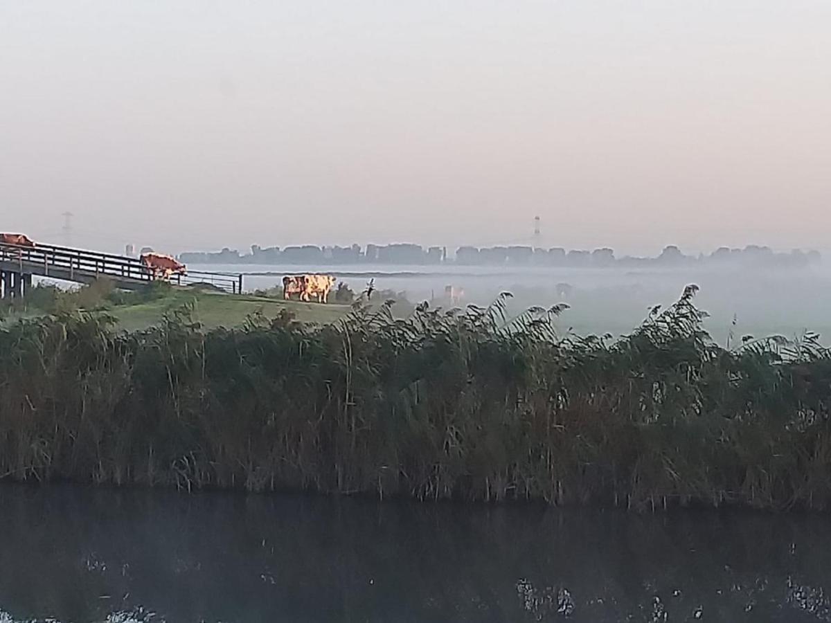 Huisje Aan Het Water, Omgeving Amsterdam Villa Zaandam Eksteriør bilde